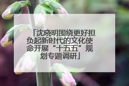 沈晓明围绕更好担负起新时代的文化使命开展“十五五”规划专题调研