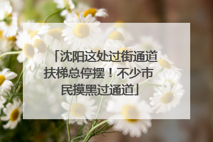 沈阳这处过街通道扶梯总停摆！不少市民摸黑过通道