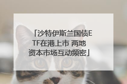 沙特伊斯兰国债ETF在港上市 两地资本市场互动频密