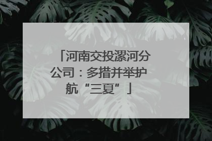 河南交投漯河分公司：多措并举护航“三夏”