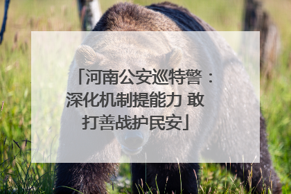 河南公安巡特警：深化机制提能力 敢打善战护民安