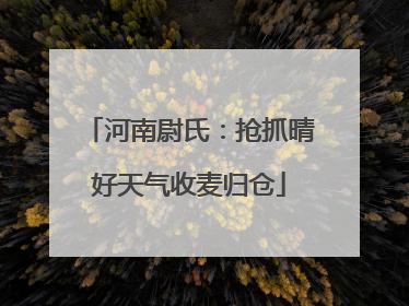 河南尉氏：抢抓晴好天气收麦归仓