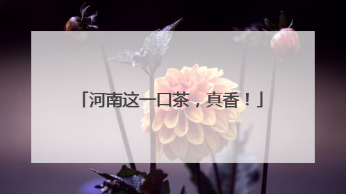 河南这一口茶，真香！