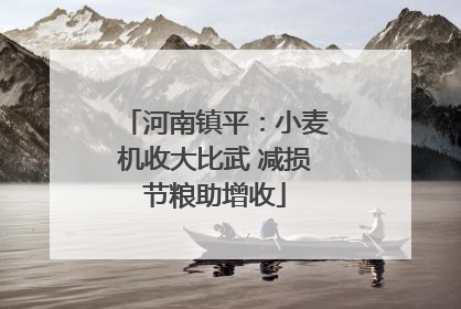 河南镇平：小麦机收大比武 减损节粮助增收