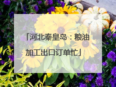 河北秦皇岛：粮油加工出口订单忙