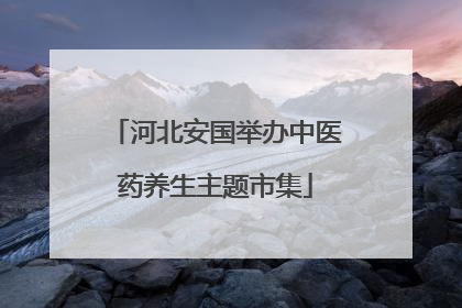 河北安国举办中医药养生主题市集