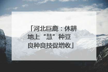 河北巨鹿：休耕地上“慧”种豆 良种良技促增收