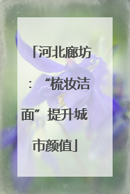 河北廊坊：“梳妆洁面”提升城市颜值