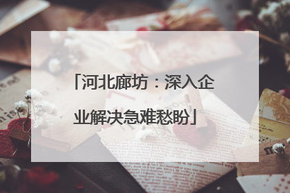 河北廊坊：深入企业解决急难愁盼
