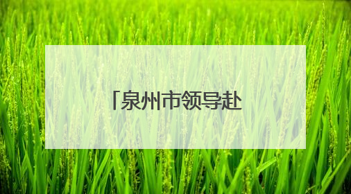 泉州市领导赴台商投资区调研重点招商项目