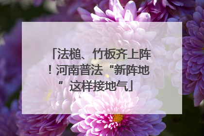 法槌、竹板齐上阵！河南普法“新阵地”这样接地气