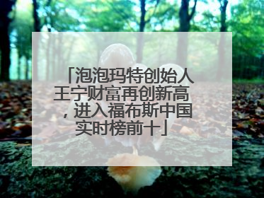 泡泡玛特创始人王宁财富再创新高，进入福布斯中国实时榜前十