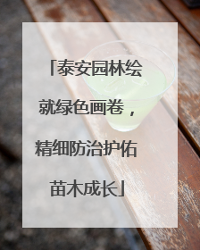 泰安园林绘就绿色画卷，精细防治护佑苗木成长