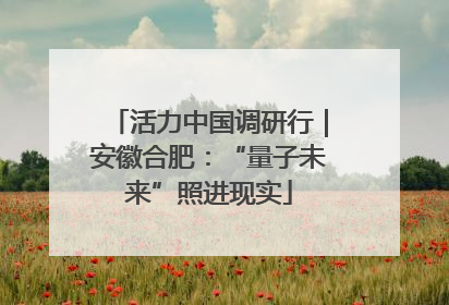 活力中国调研行｜安徽合肥：“量子未来”照进现实