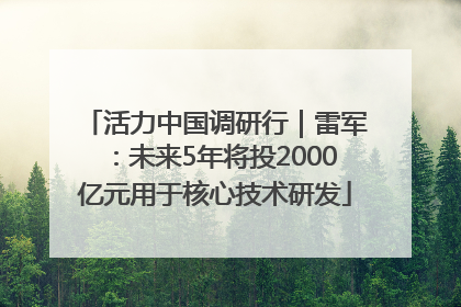 活力中国调研行｜雷军：未来5年将投2000亿元用于核心技术研发
