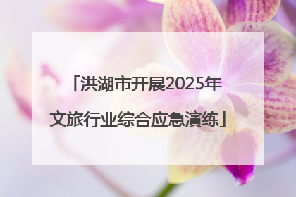 洪湖市开展2025年文旅行业综合应急演练