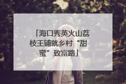 海口秀英火山荔枝王铺就乡村“甜蜜”致富路