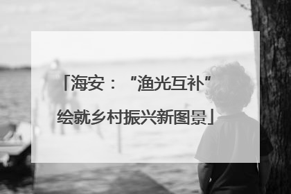 海安：“渔光互补” 绘就乡村振兴新图景