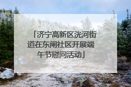 济宁高新区洸河街道在东闸社区开展端午节慰问活动