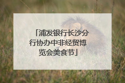 浦发银行长沙分行协办中非经贸博览会美食节