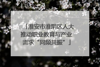 淮安市淮阴区人大推动职业教育与产业需求“同频共振”