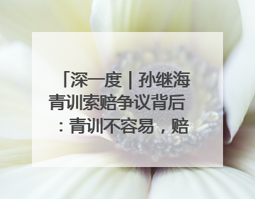 深一度｜孙继海青训索赔争议背后：青训不容易，赔偿可仲裁