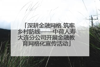 深耕金融网格 筑牢乡村防线——中荷人寿大连分公司开展金融教育网格化宣传活动