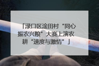渌口区淦田村“同心振农兴粮”大赛上演农耕“速度与激情”