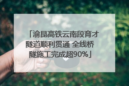 渝昆高铁云南段育才隧道顺利贯通 全线桥隧施工完成超90%