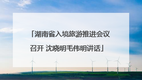 湖南省入境旅游推进会议召开 沈晓明毛伟明讲话