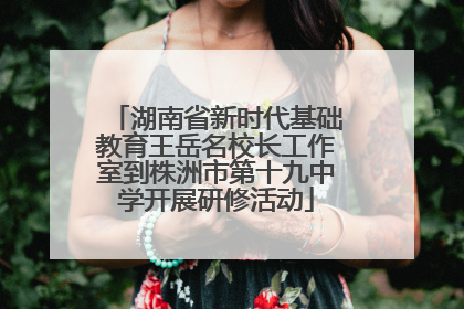 湖南省新时代基础教育王岳名校长工作室到株洲市第十九中学开展研修活动
