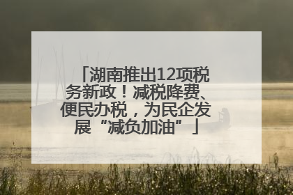 湖南推出12项税务新政！减税降费、便民办税，为民企发展“减负加油”