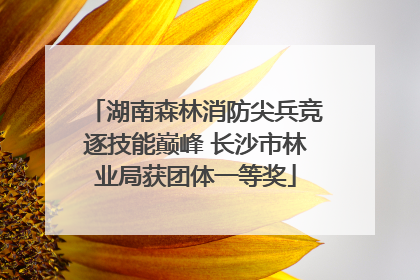 湖南森林消防尖兵竞逐技能巅峰 长沙市林业局获团体一等奖
