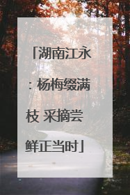 湖南江永：杨梅缀满枝 采摘尝鲜正当时