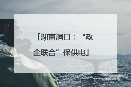 湖南洞口：“政企联合”保供电