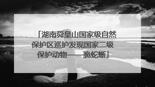 湖南舜皇山国家级自然保护区巡护发现国家二级保护动物——脆蛇蜥