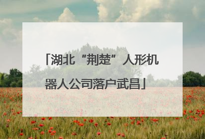 湖北“荆楚”人形机器人公司落户武昌