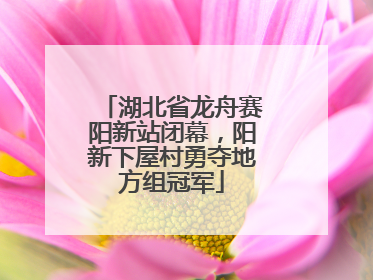 湖北省龙舟赛阳新站闭幕，阳新下屋村勇夺地方组冠军