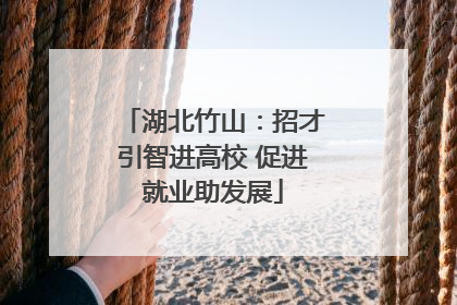 湖北竹山：招才引智进高校 促进就业助发展