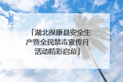 湖北保康县安全生产暨全民禁毒宣传月活动精彩启幕
