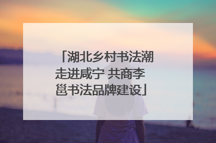 湖北乡村书法潮走进咸宁 共商李邕书法品牌建设