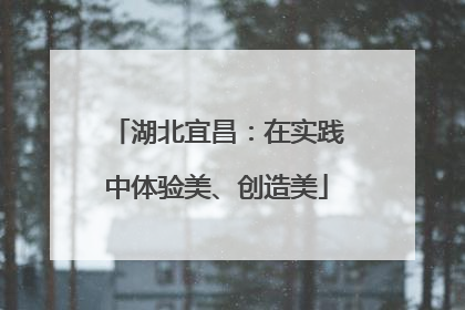 湖北宜昌：在实践中体验美、创造美