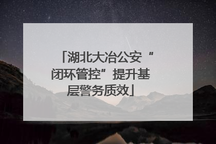 湖北大冶公安“闭环管控”提升基层警务质效