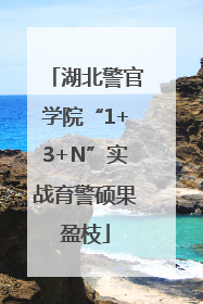 湖北警官学院“1+3+N”实战育警硕果盈枝