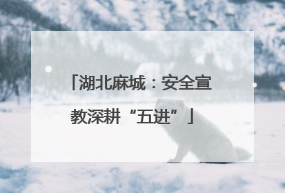 湖北麻城：安全宣教深耕“五进”