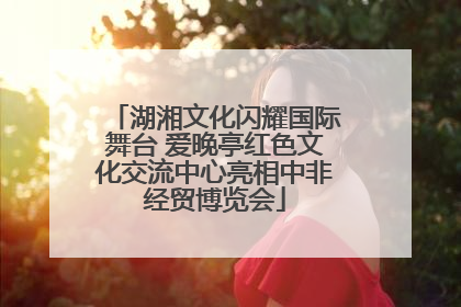 湖湘文化闪耀国际舞台 爱晚亭红色文化交流中心亮相中非经贸博览会