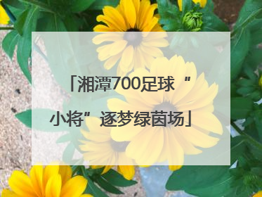 湘潭700足球“小将”逐梦绿茵场