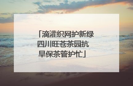滴灌织网护新绿 四川旺苍茶园抗旱保茶管护忙