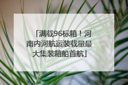 满载96标箱！河南内河航运装载量最大集装箱船首航