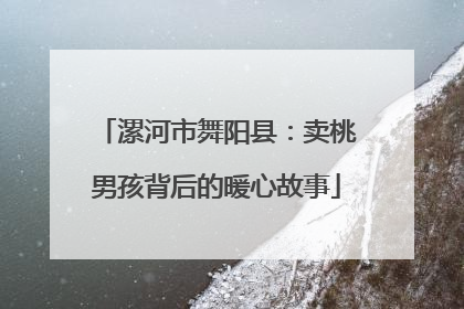 漯河市舞阳县：卖桃男孩背后的暖心故事